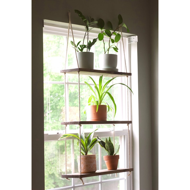 May include: Three wooden shelves hanging from a window with rope. The shelves are filled with potted plants, including a snake plant, a spider plant, and a pothos.