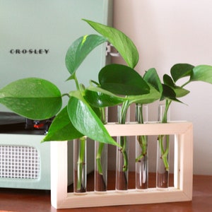 Propagation Station Plant Propagation Tubes Included Indoor Plant Stand Boho Plant Holder image 9