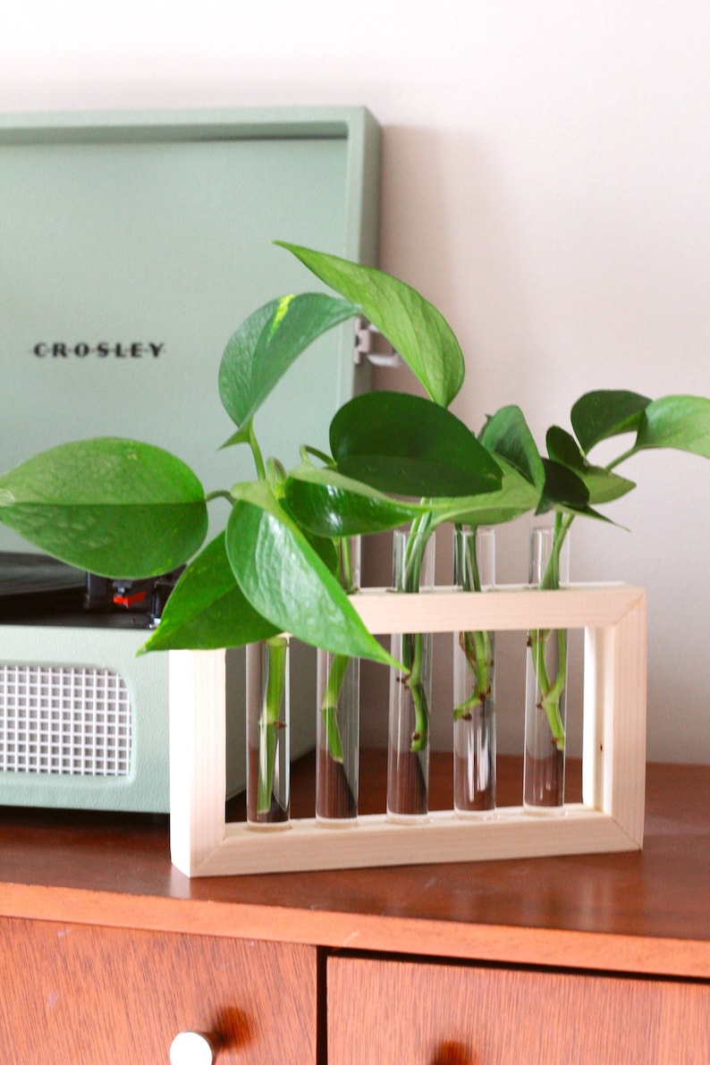 Propagation Station Plant Propagation Tubes Included Indoor Plant Stand Boho Plant Holder image 9