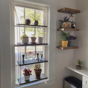 Window Plant Shelf | Tiered Plant Shelf {4 Tier} | Window Floating Shelves | Hanging Planter | Boho Hanging Planter | Rope Shelves image 10