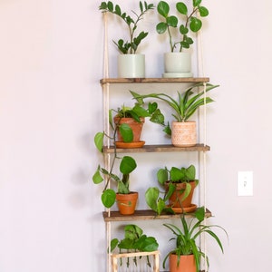 Window Plant Shelf | Tiered Plant Shelf {4 Tier} | Window Floating Shelves | Hanging Planter | Boho Hanging Planter | Rope Shelves image 6
