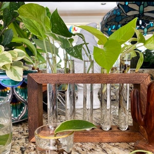 Propagation Station | Plant Propagation- Tubes Included | Indoor Plant Stand | Boho Plant Holder image 3