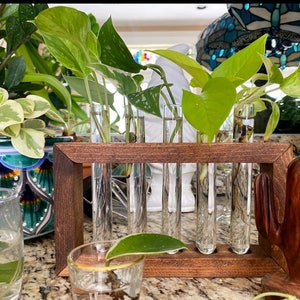 Propagation Station Plant Propagation Tubes Included Indoor Plant Stand Boho Plant Holder image 3