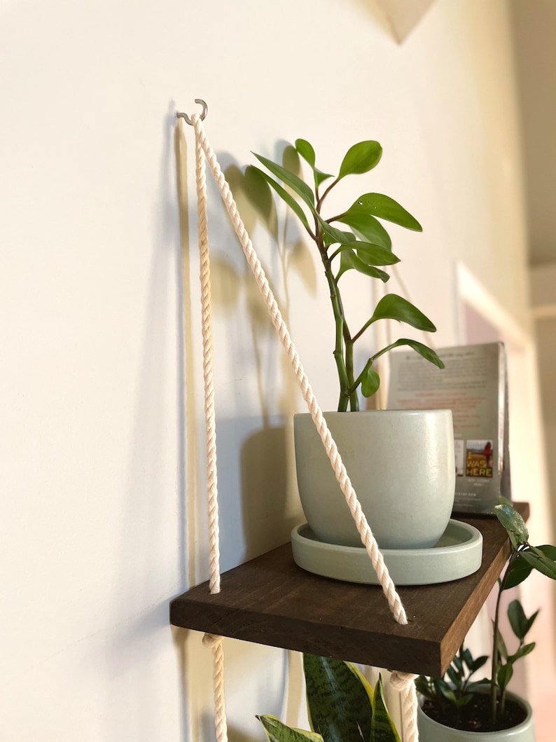 May include: Two wooden shelves with rope hanging from a hook on a white wall. The shelves are holding potted plants. The top shelf has a light blue pot with a green plant and a light blue saucer. The bottom shelf has a green plant in a light blue pot with a white saucer.