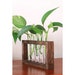 see more listings in the Plant Propagation section