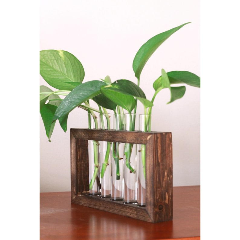 Propagation Station | Plant Propagation- Tubes Included | Indoor Plant Stand | Boho Plant Holder image 1