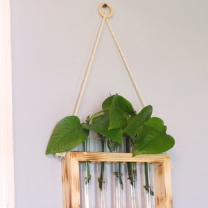 Propagation Station | Plant Propagation- Tubes Included | Indoor Plant Stand | Boho Plant Holder image 5