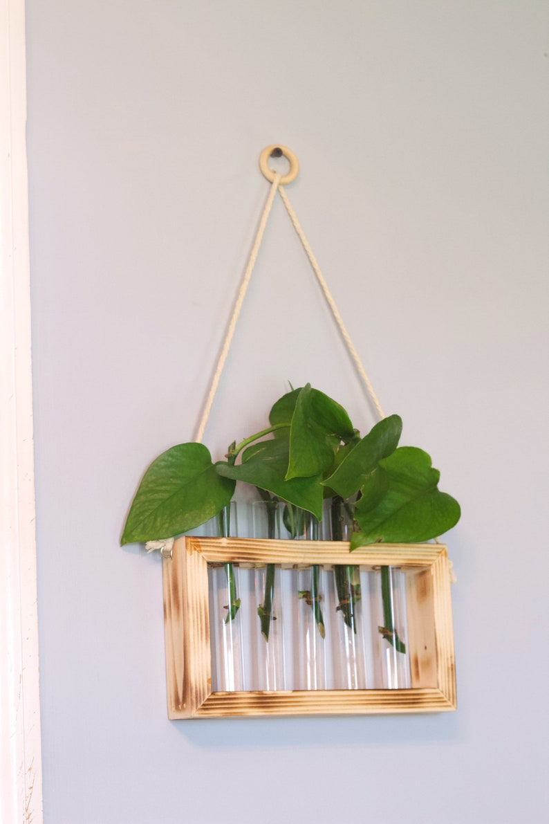 Propagation Station | Plant Propagation- Tubes Included | Indoor Plant Stand | Boho Plant Holder image 5