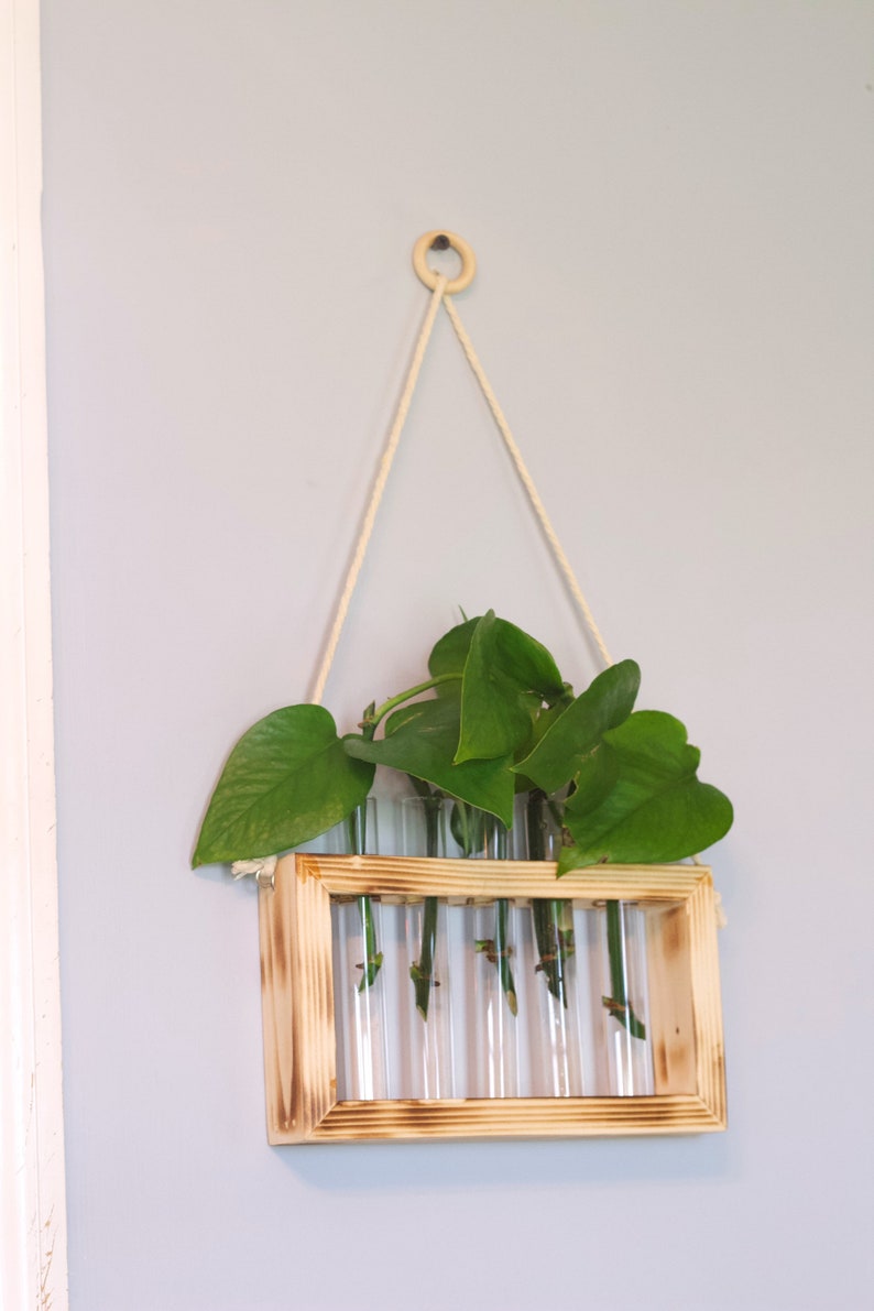 Propagation Station Plant Propagation Tubes Included Indoor Plant Stand Boho Plant Holder image 6