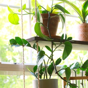 Window Plant Shelf | Tiered Plant Shelf {4 Tier} | Window Floating Shelves | Hanging Planter | Boho Hanging Planter | Rope Shelves image 5