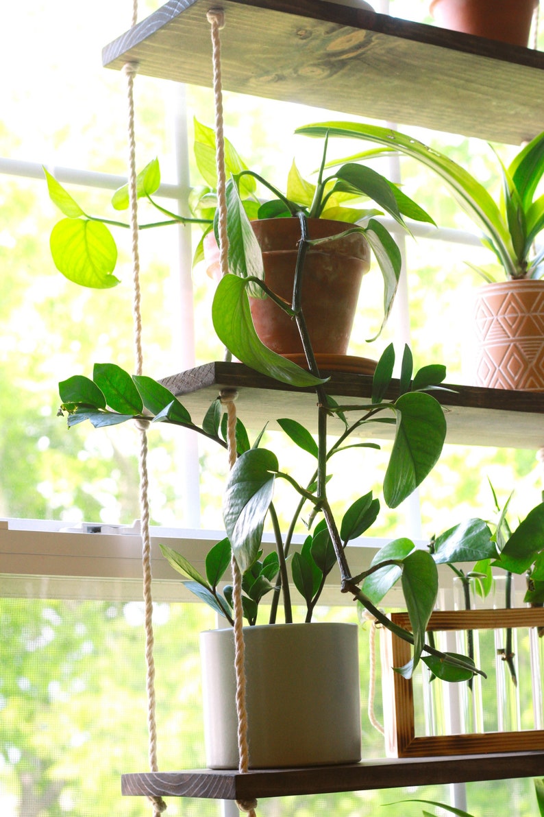 Window Plant Shelf | Tiered Plant Shelf {4 Tier} | Window Floating Shelves | Hanging Planter | Boho Hanging Planter | Rope Shelves image 5