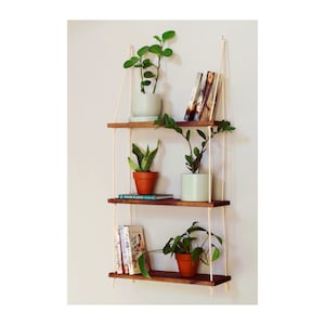 May include: Three wooden shelves with rope hangers, each shelf holding potted plants and books. The top shelf has a potted plant and a stack of books. The middle shelf has a potted plant and a book titled "House Plants". The bottom shelf has a potted plant and a stack of books.