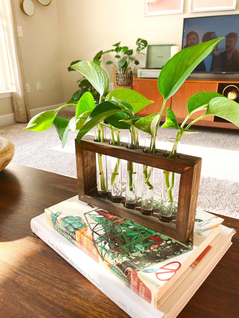 Propagation Station | Plant Propagation- Tubes Included | Indoor Plant Stand | Boho Plant Holder image 2