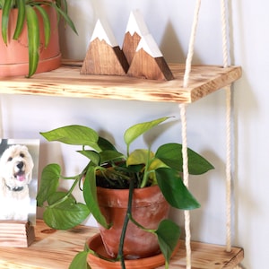 May include: Two wooden shelves with rope hangers, a potted plant, a picture frame, and wooden mountain decor.