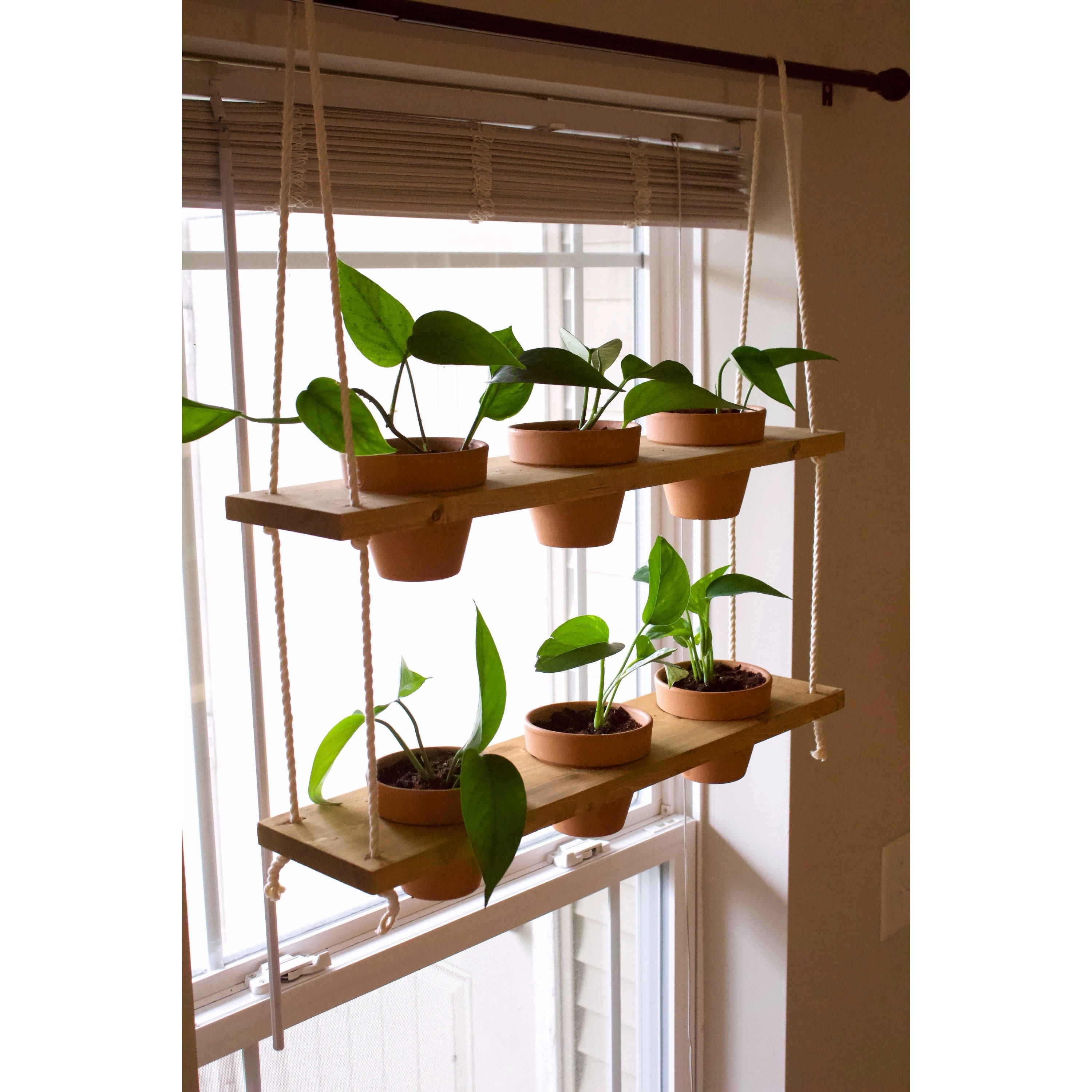 Herb Plant Stand from a Stand Up Shower Caddy