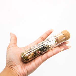 Glass + Cork Tea Infuser Test Tube. Unique reusable tea filter for loose leaf tea brewing.