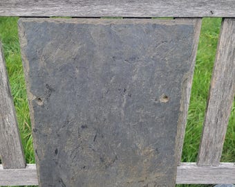 12 by 18 Inch Natural Antique GRAY/GREEN Slate Stone, Aquarium, Terrarium, Garden, and Home Decor, SINGLE Piece