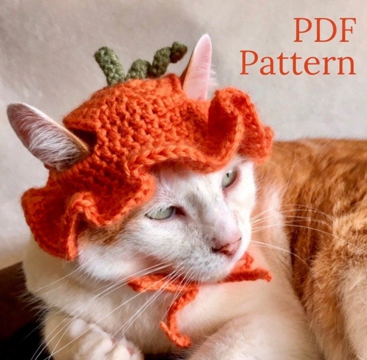 Crochet Pattern Crochet Pumpkin Bucket 