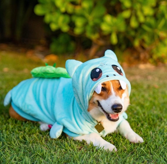 Anime Dog Costume Accounts  anime dog