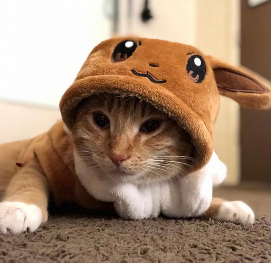 Eevee Dog Costume Pokemon Outfit for Pets Anime Dog Etsy
