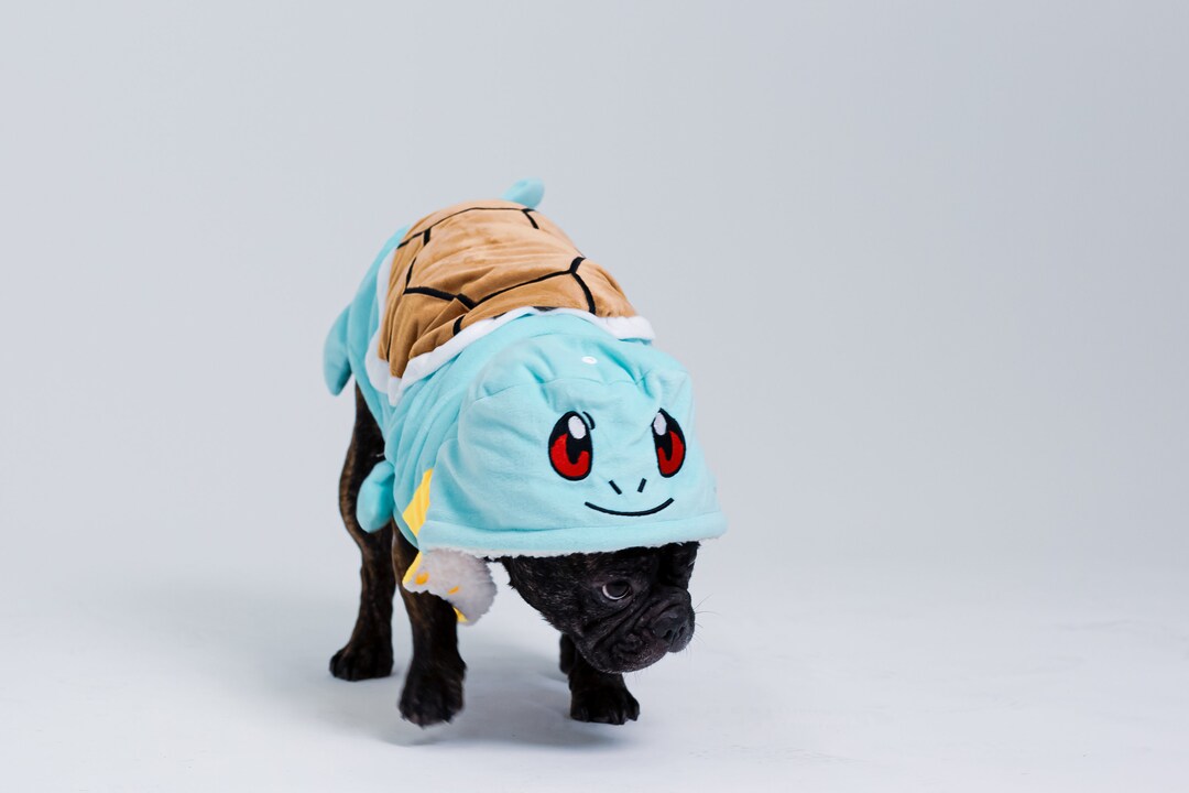 Pokemon top dog clothes