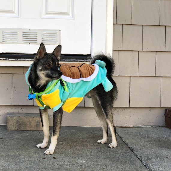 pokemon dog clothes
