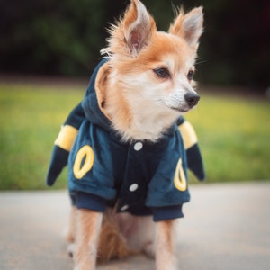 Eevee Dog Costume Pokemon Outfit for Pets Anime Dog Apparel Dog Hoodie Pet Dog Gift Pet Apparel Dog Jacket Gift for Pets Etsy Canada
