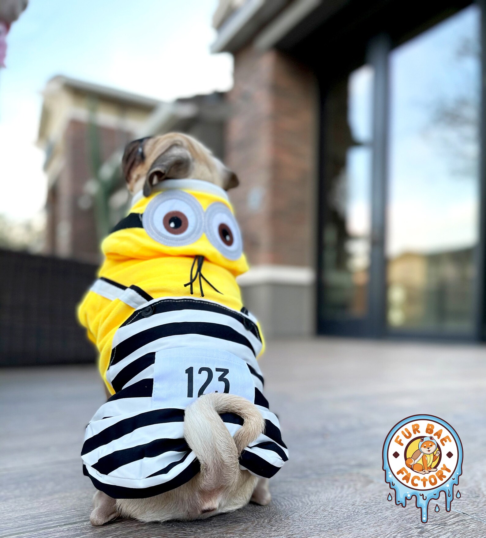 Cartoon Dog Costume Outfit for Pets Anime Dog Apparel Etsy