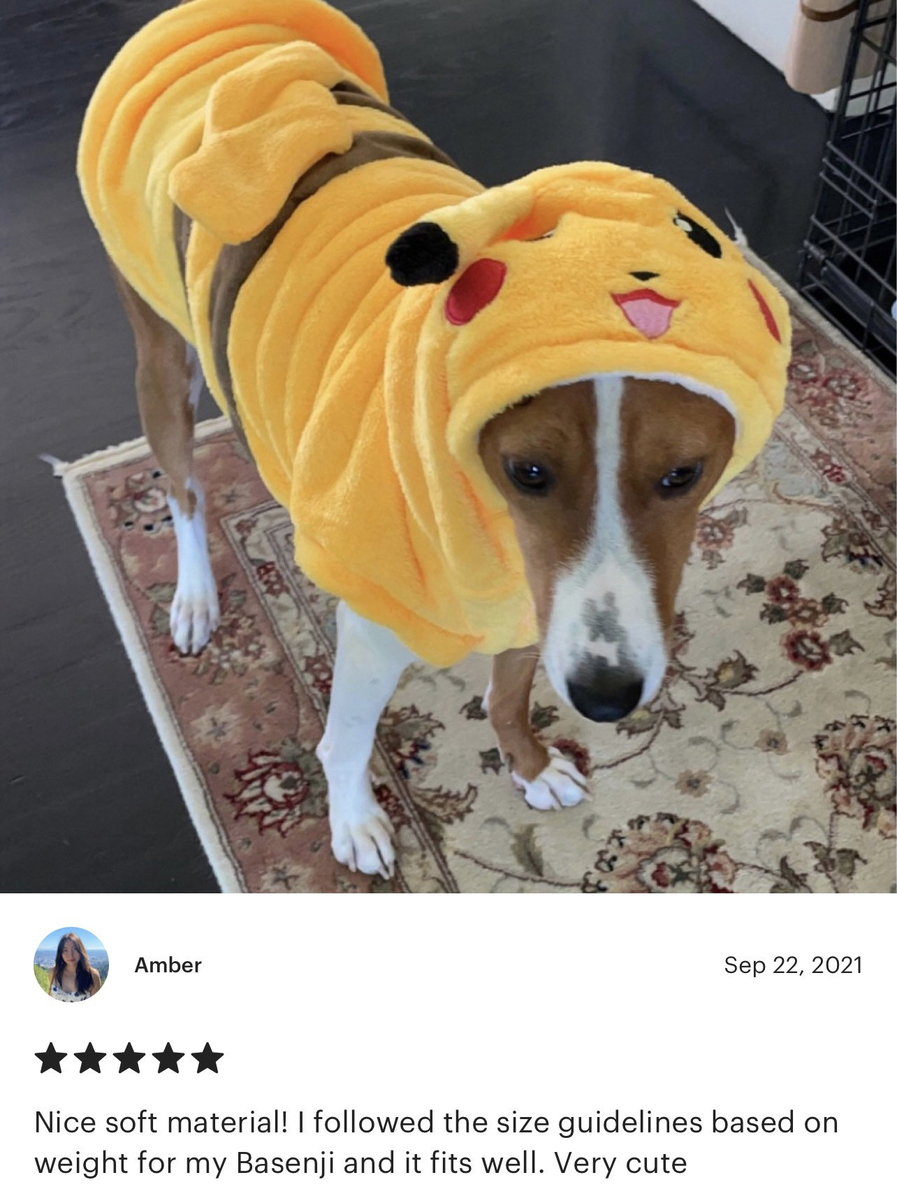 Pikachu Dog Costume Pokémon Outfit for Pets Anime Dog Etsy Norway