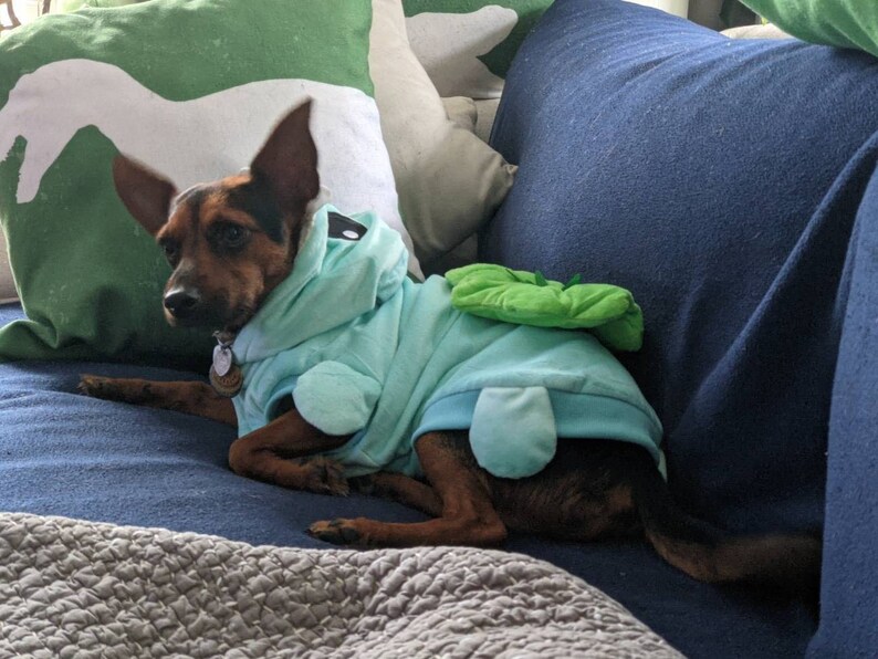 Bulbasaur Dog Costume Pokémon Outfit for Pets Anime Dog Etsy Canada