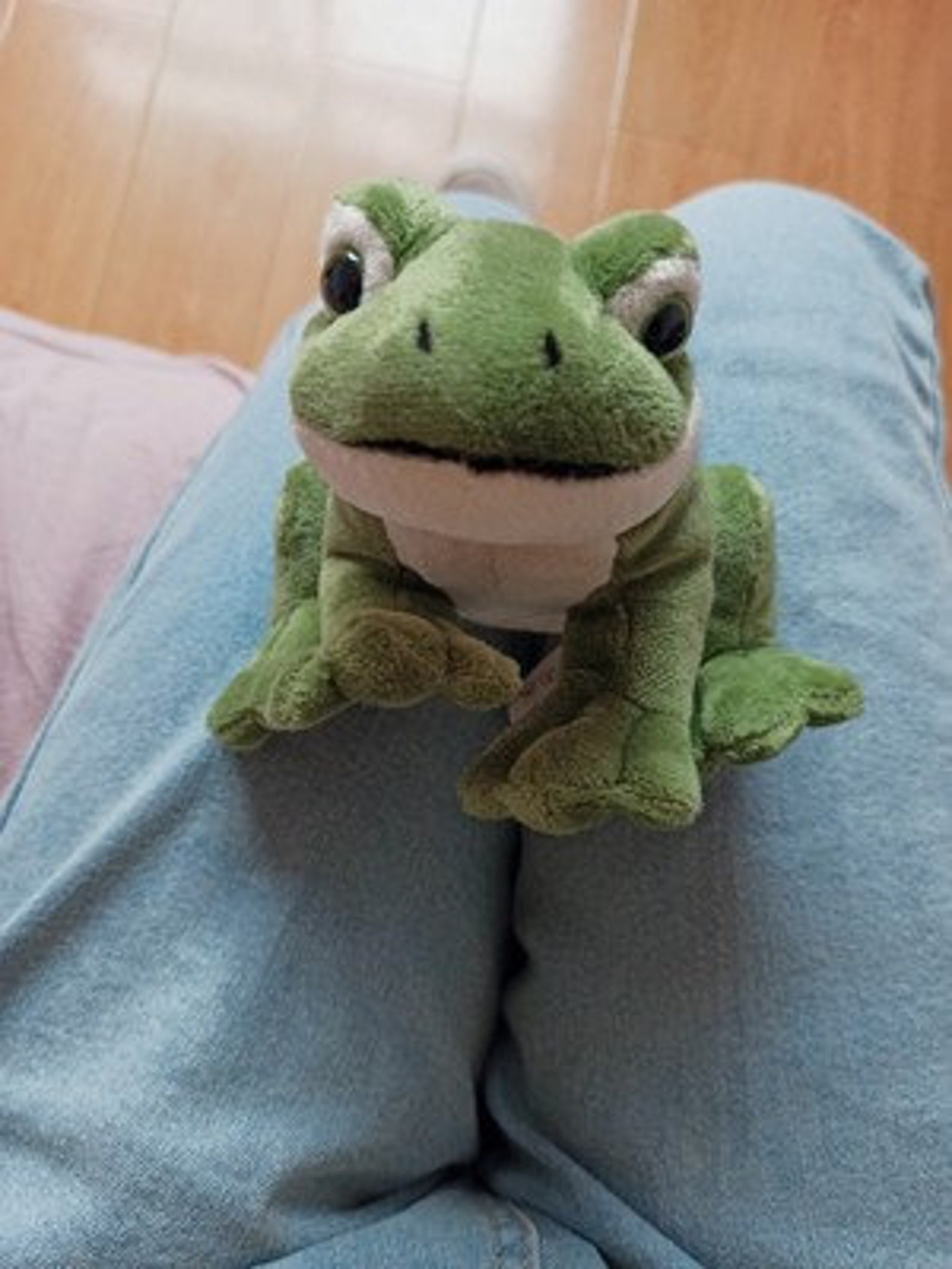 16cm Tree Frog Stuffed Plush Toys Stuffed Animal Plushy Etsy