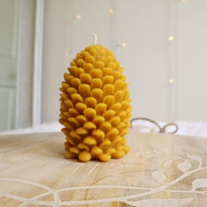 pine  cone beeswax candle