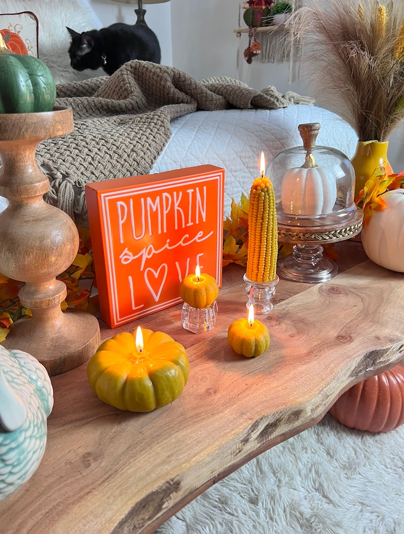 Sweet Cindy's Honey Pumpkin Candle - Thumbnail 4