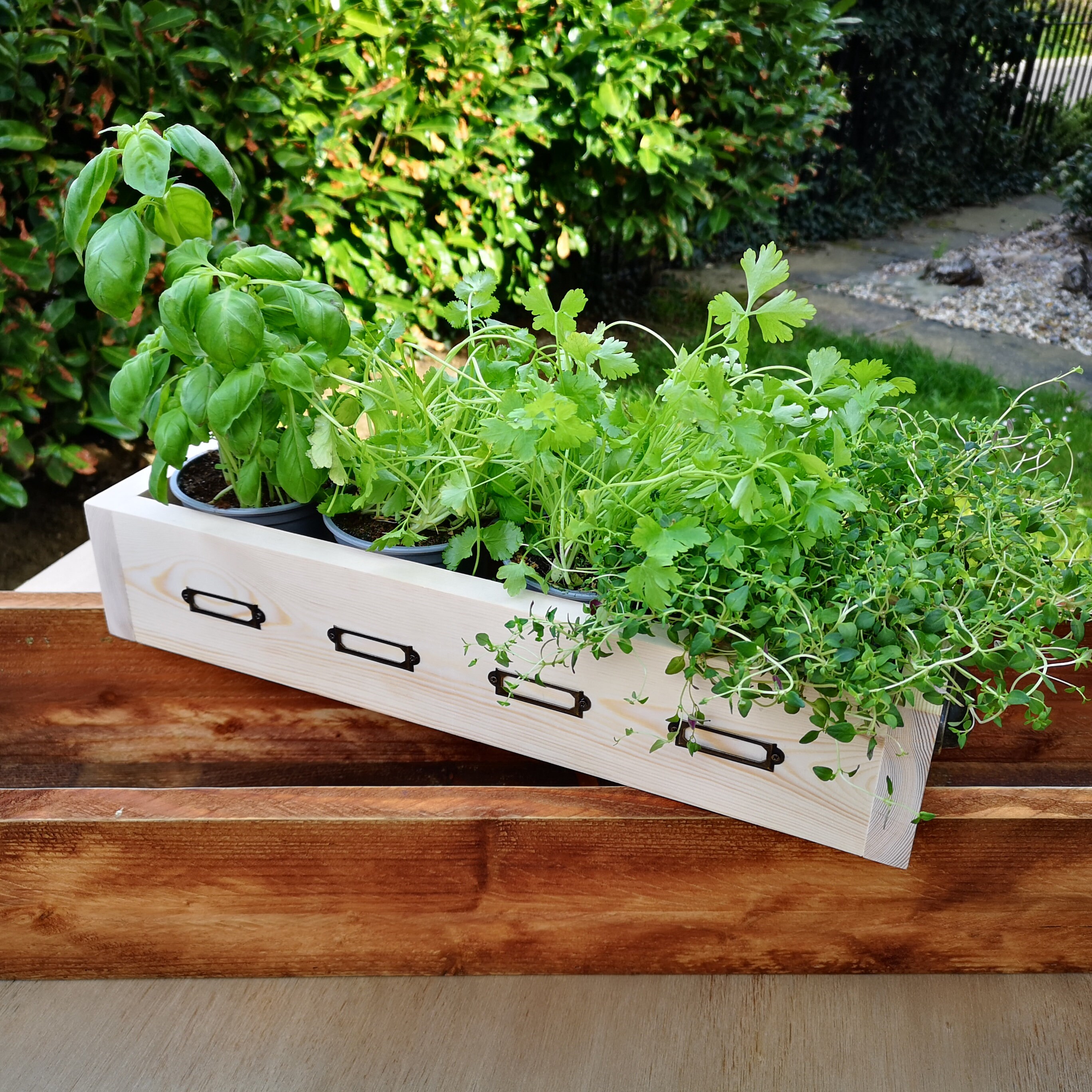 Wooden Herb Box 50cm Window Sill Box Kitchen Planter Etsy Polska
