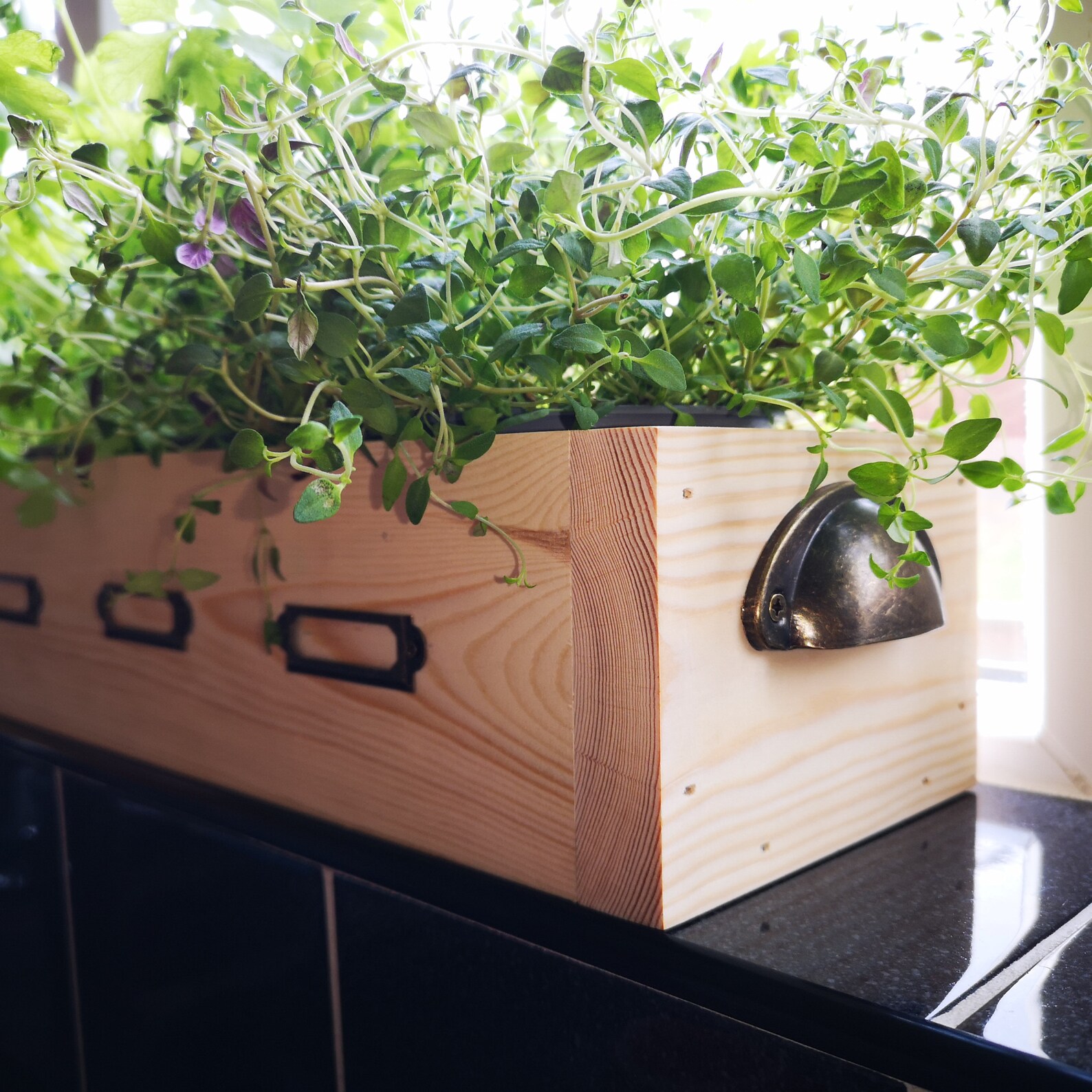 Wooden Herb Box 50cm Window Sill Box Kitchen Planter Etsy Polska
