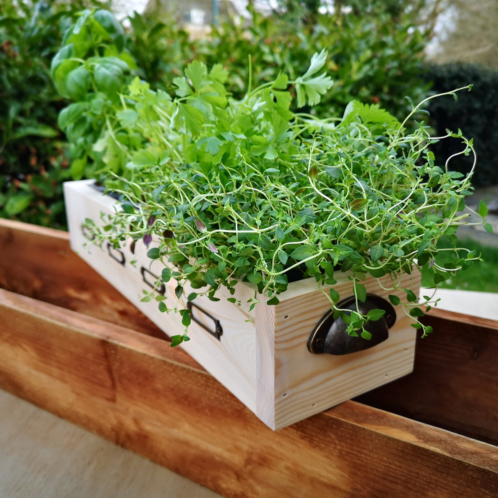 Wooden Herb Box 50cm Window Sill Box Kitchen Planter Etsy Polska