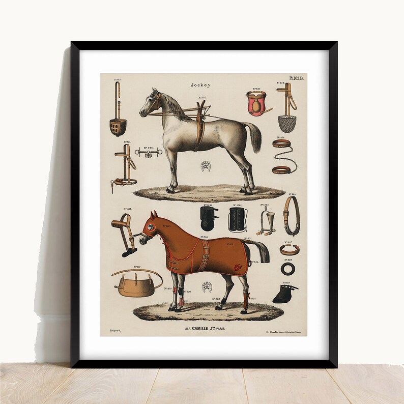 Équipement d’équitation antique, chevaux, impression d’art de cheval