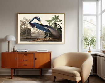 Lámina de garza azul de Audubon: Póster de arte de vida silvestre vintage
