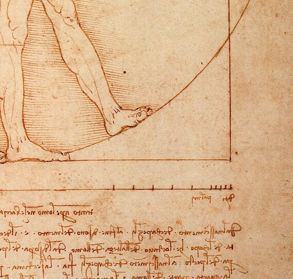 Leonardo Da Vinci Vitruvian Man Vintage Art Poster – 16x24 Matte Print, USA Made
