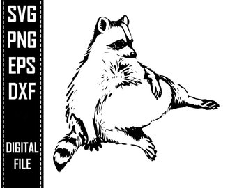 Download Cute Raccoon Svg Etsy