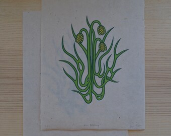 May include: A green and yellow stylized illustration of a plant with multiple stems and flowers. The print is on a white paper background.