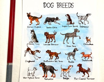 All 340 dog breeds 2025