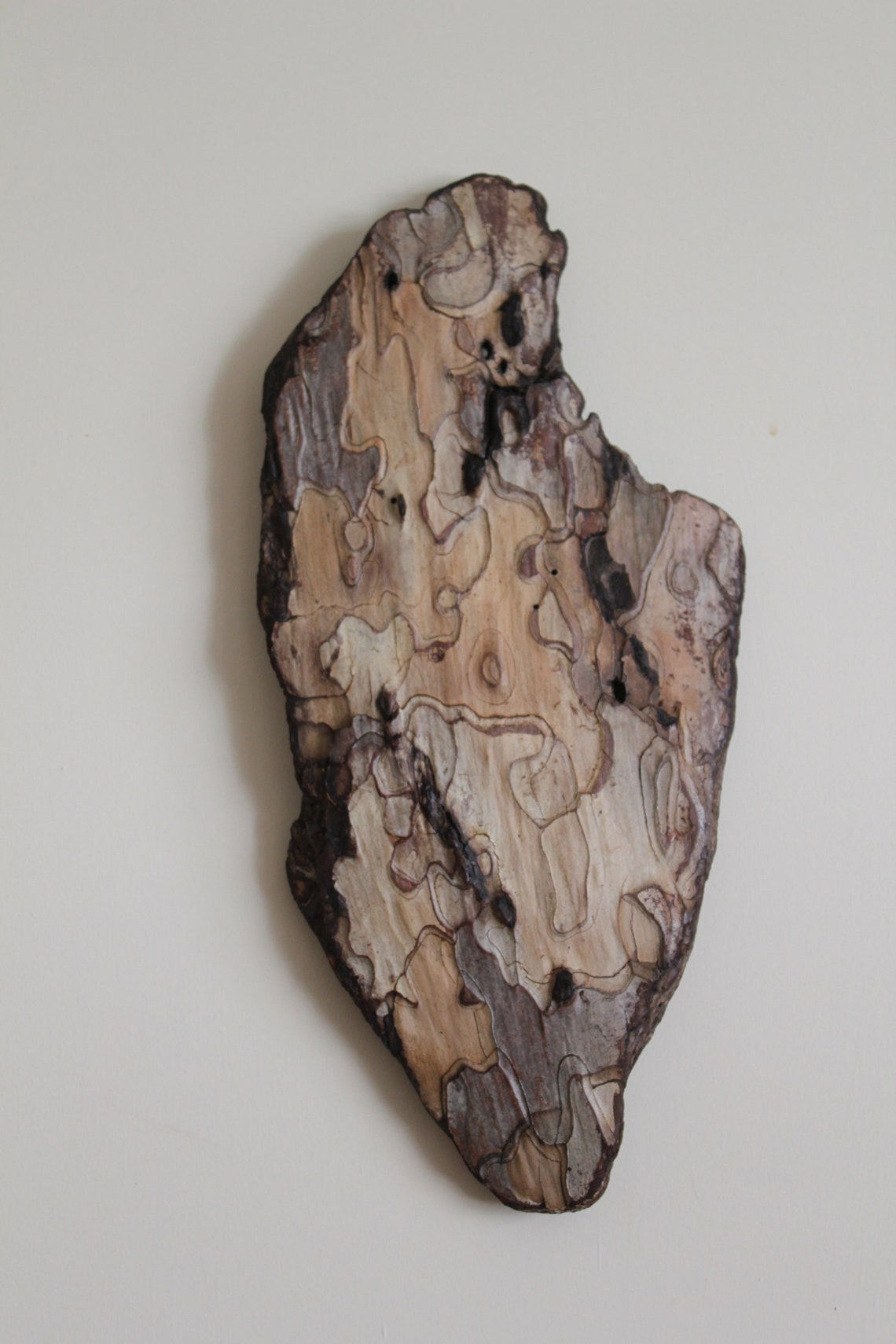 Tree Bark Plaque Home Decor. Driftwood Wall Art Decoration. Etsy