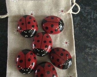 Hand painted ladybirds