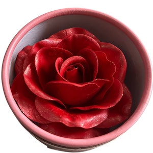 Ruby, 3D Rose Blush, Shimmery Blush, illuminating blush, Rose Petal Blusher, Rose Blush, Mother’s Day gift