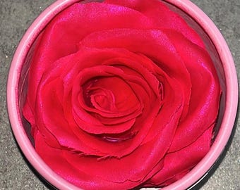Rosy Pink Shimmery Blush: 3D Rose Petal Blusher, Valentine gift