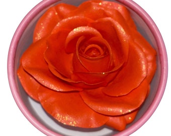 Strawberry, 3D Rose Blush, illuminating Blush, Sheer blush, Highlighter, Rose Petal blusher, Mother’s Day gift