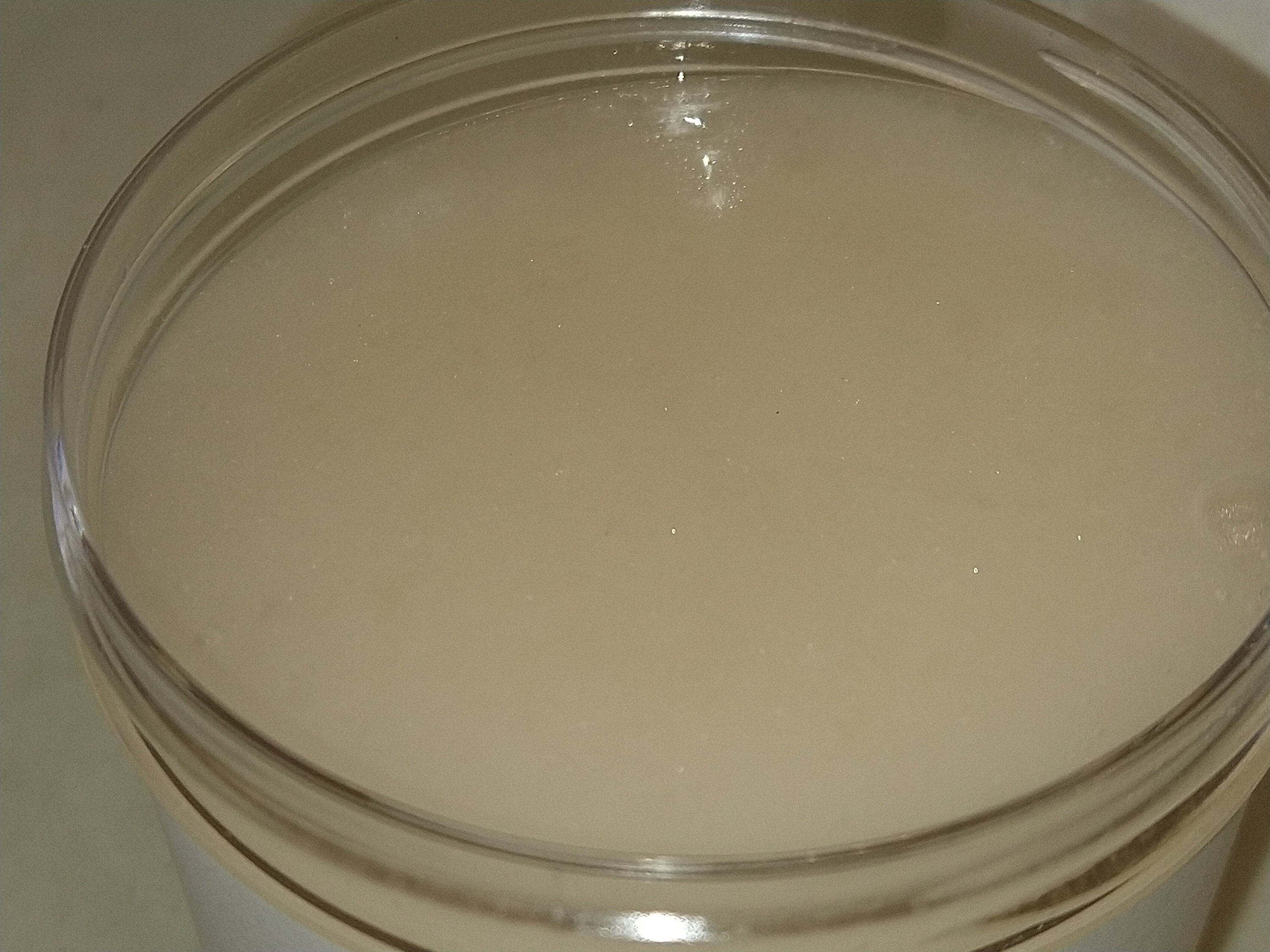 Pure Aloe Vera Hair Pudding Curl Definer Moisturizing Stops Shedding