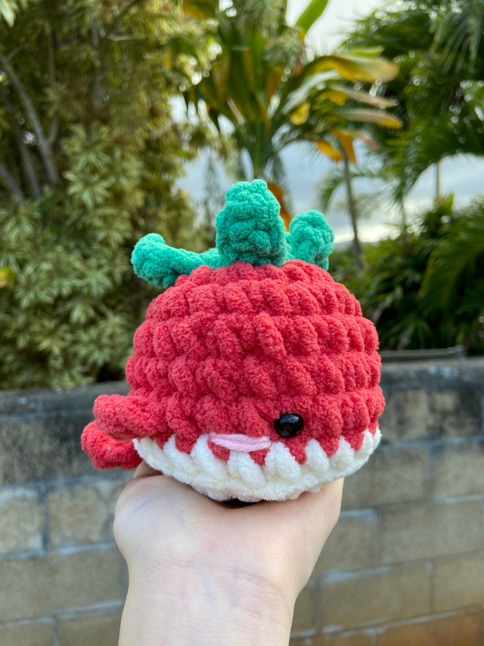 Cute Chunky Crochet 5 Whale Amigurumi Stuffed Animal Plush Etsy