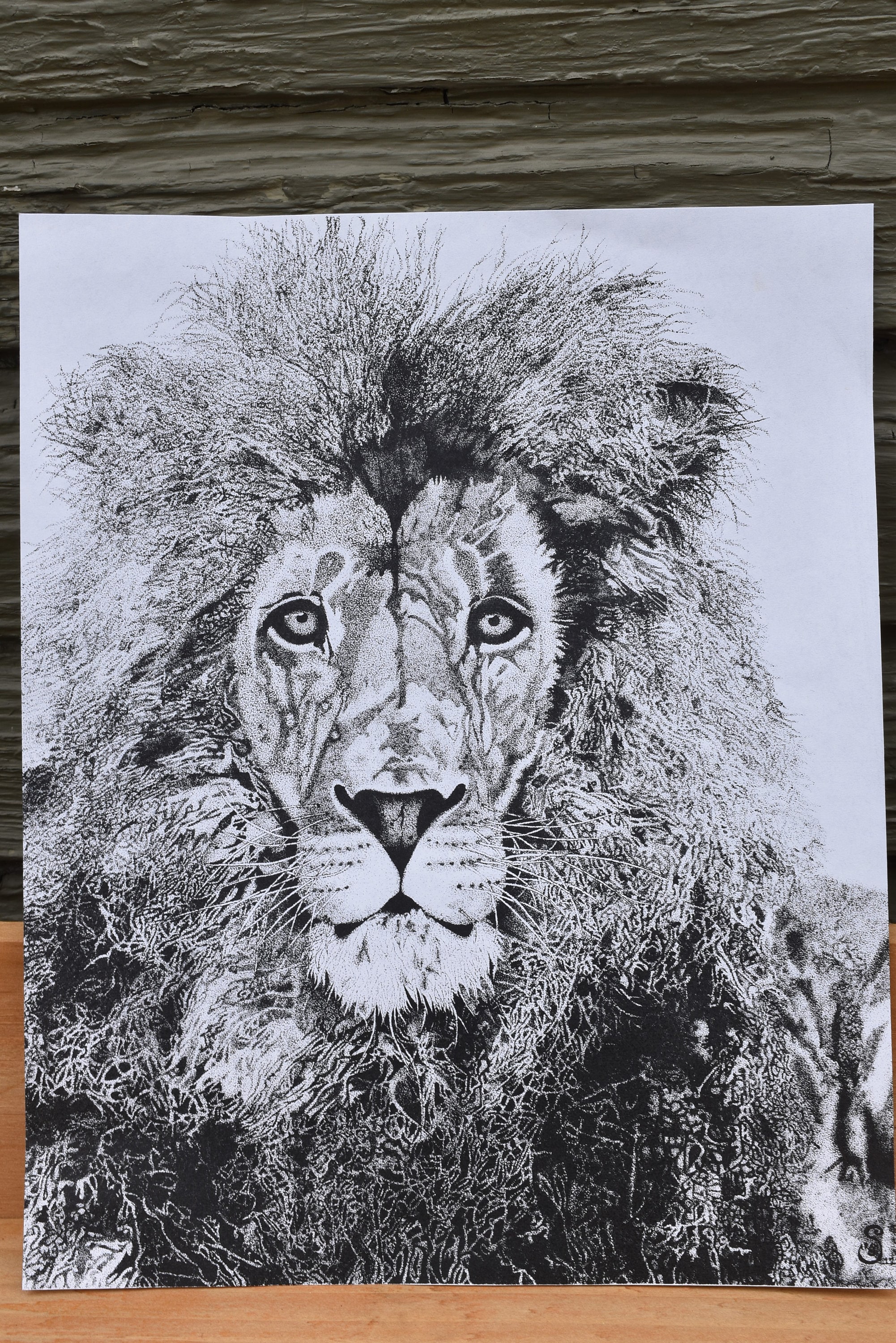 ライオン点描 - Etsy 日本